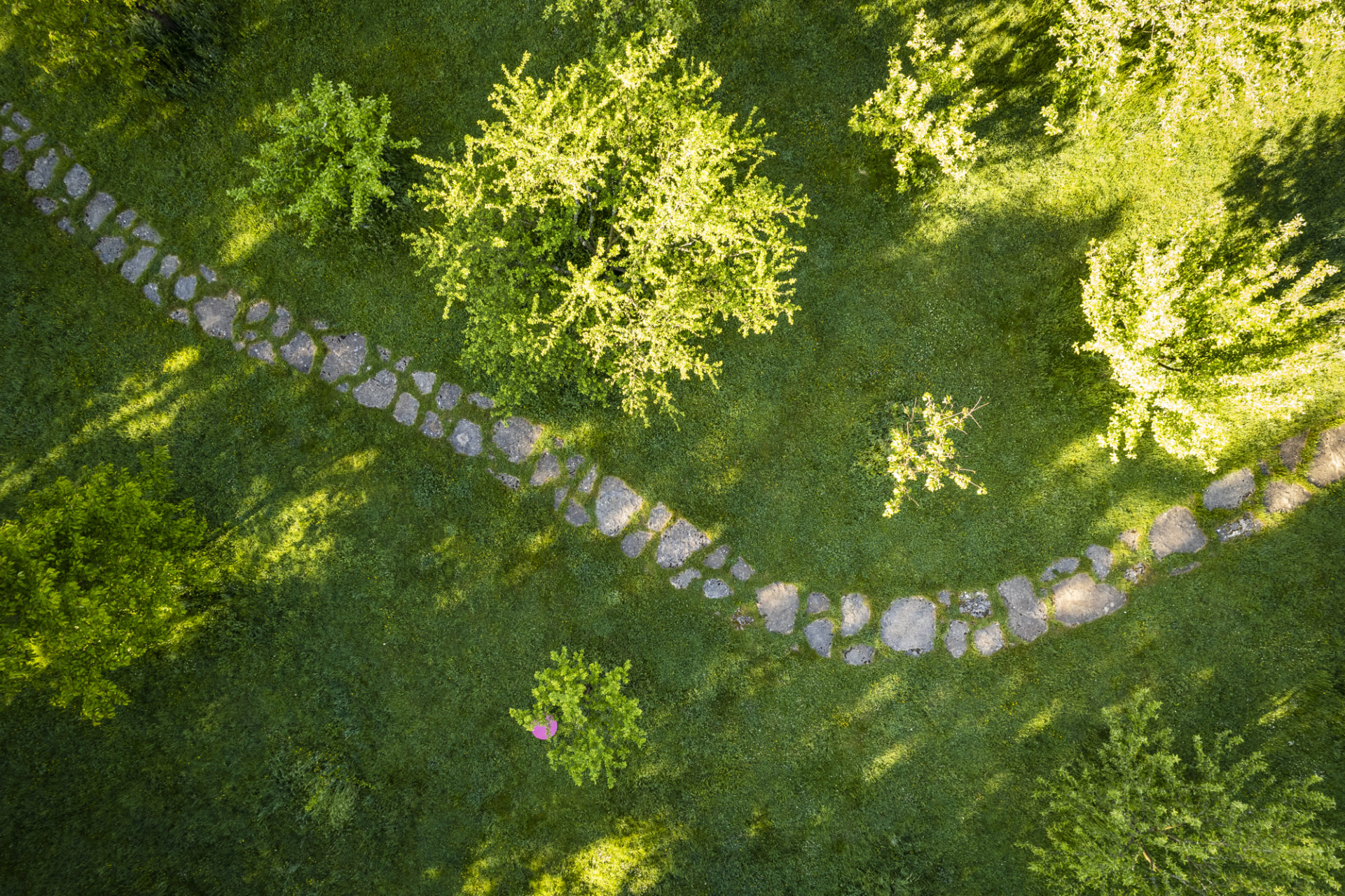 Chemin du verger